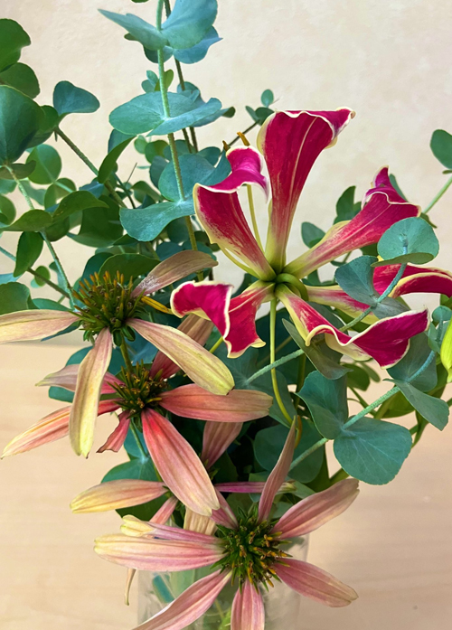 ペットボトル症候群とは