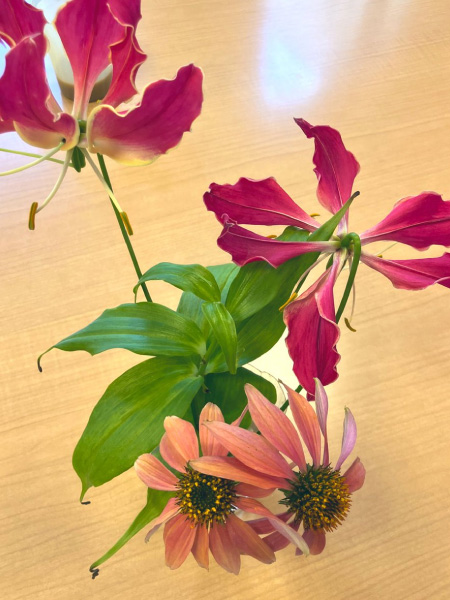 【水分補給の豆知識②】