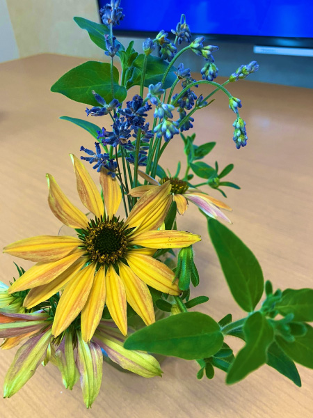 【水分補給の豆知識】