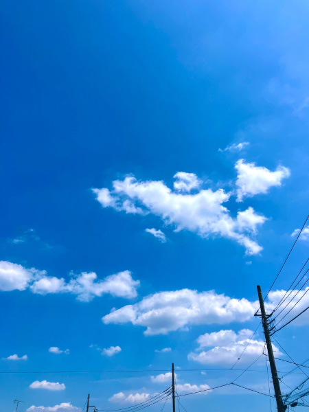 本日も快晴です！