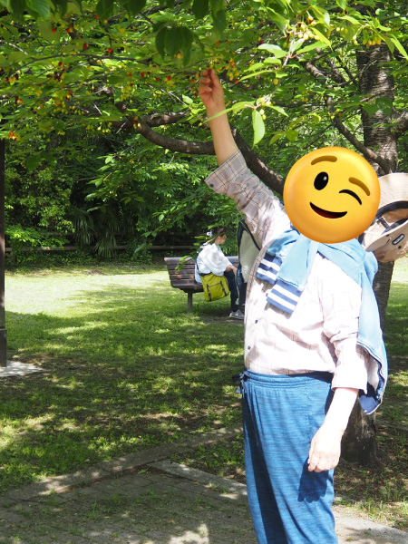 先月のお散歩の様子