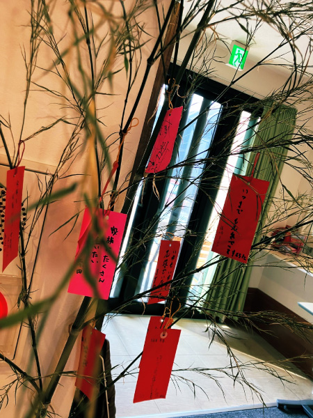 笹を準備しました😆