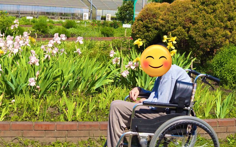 先月のお散歩の様子